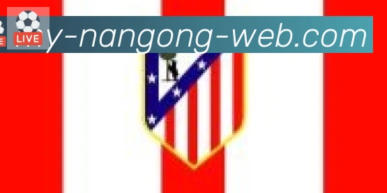 NG体育官网合作伙伴